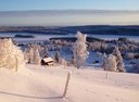 Etableringen av nyanlända kan vara kommuners överlevnad